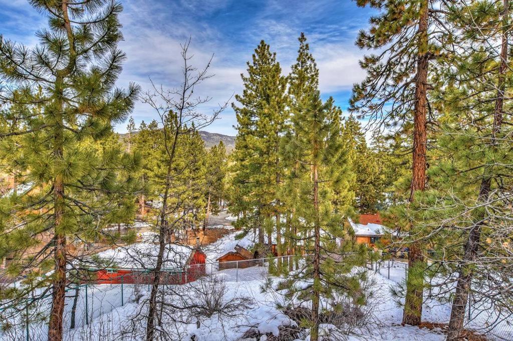 031 - Paradise Pines Big Bear Lake Exterior foto